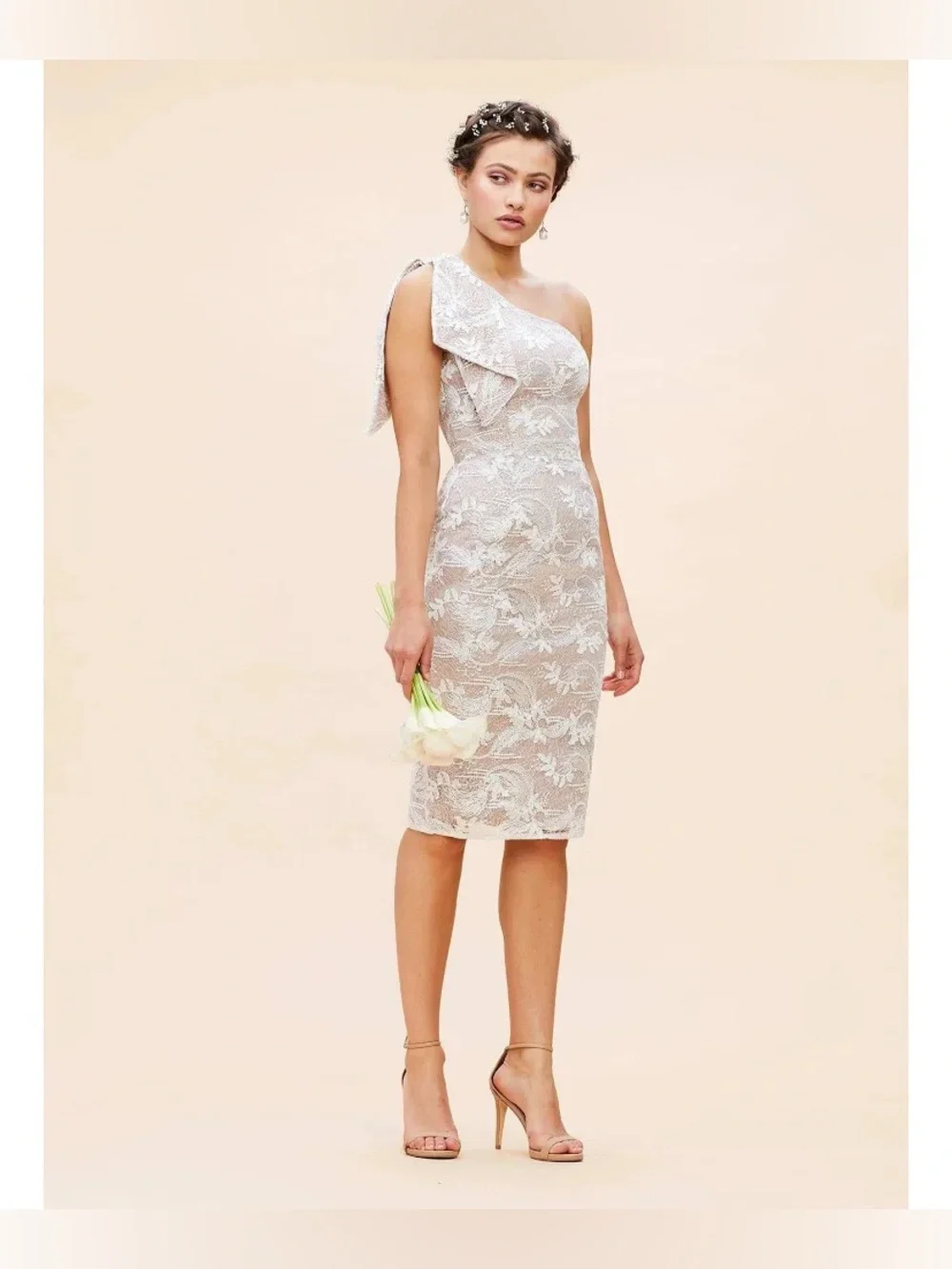 dress the population poshmark Sasha Dress L / BLUSH MULTI